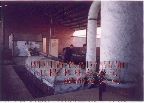 四川省农副产品加工技术开发公司成都分公司 豌豆淀粉渣烘干设备的技术开发与应用